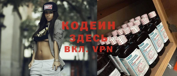 молекула духа Ахтубинск