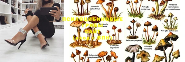 твердый Аша